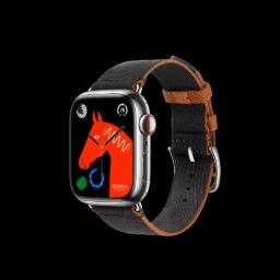 Sell Apple Watch Series 9 Hermes (GPS + Cellular)