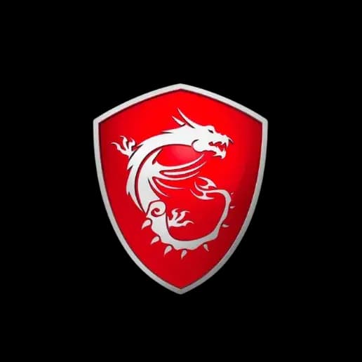 MSI